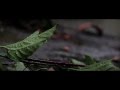 Second Hand Heart - Damnesia (Official Music ...