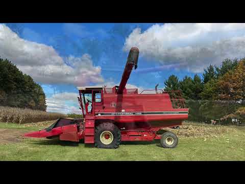 2021 First Year Growing Corn