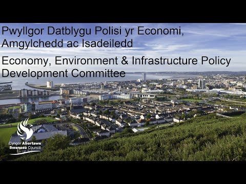 Swansea Council - Economy, Environment & Infrastructure Policy Development Committee 20 January 2022