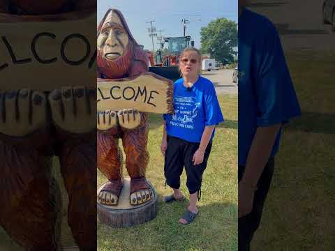 Live Chainsaw Carving Show at the 79th Annual Hookstown Fair