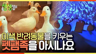 유튜브 썸네일