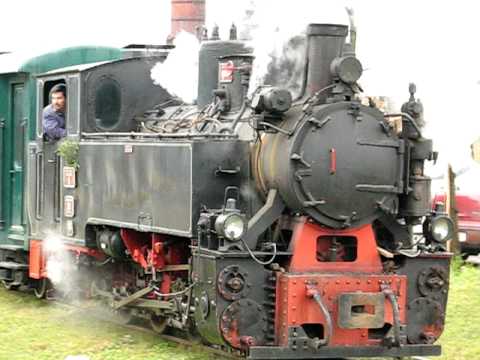 Mocanita Brad - Criscior