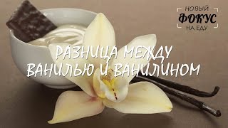 Для чего нужна ваниль в прикормкенте