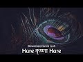Hare Krishna Hare Slowed And Reverb Lofi Remix Palak Mucchal हरे कृष्णा हरे 