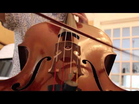 Low Hanging Fruit Promo - Sokolovic Vez