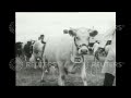 1951 The Queen Visits Royal Show