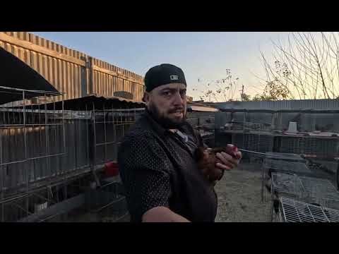 El viejon con toda la actitud.