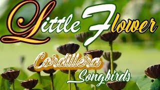 Little Flowers/ You are forever