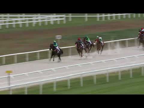 2021.05.16. 01. futam - NYERETLENEK VERSENYE (V.kat.)(szintetikus pálya)