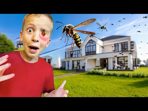 🏠Ne-au INVADAT VIESPILE în CASĂ 🐝