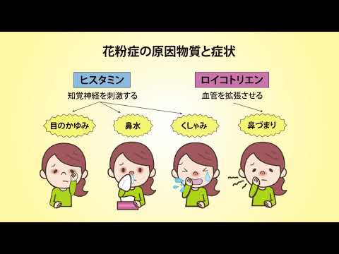 地域学科 健康のススメ　花粉症（鳥取県日野町・鳥取大学医学部地域医療学講座）