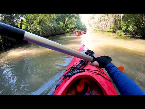 Cu caiacele din Delta Dunarii pana la Marea Neagra (Expeditie Wild Romania)