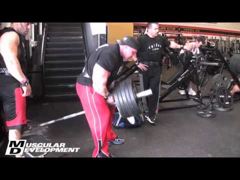 Jay Cutler - Back