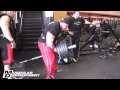 Jay Cutler Back