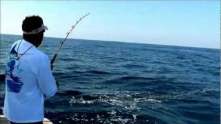 preview picture of video 'White Marlin Fishing,'