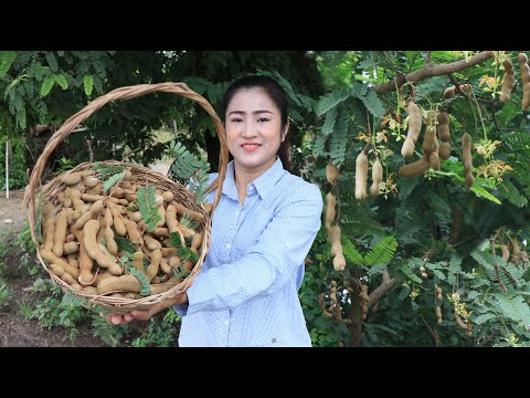 Grandmother's recipe with raw tamarind / Tamarind dipping sauce recipe / Cooking with Sreypov