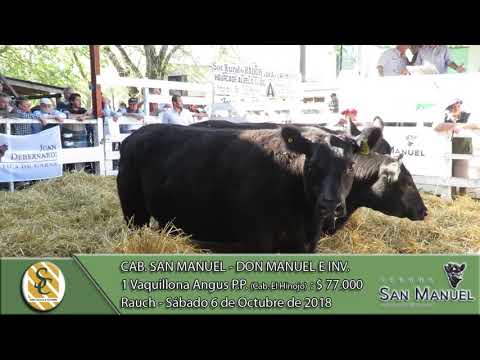 06-10-18 Venta de Vaq. Angus P.P. - Cab. San Manuel - Don Manuel e invitados - Rauch