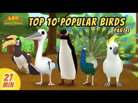 Top 10 Popular Birds Minisode Compilation (Part 1/2) - Leo the Wildlife Ranger | Animation