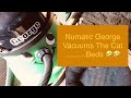 Numatic George Eats Cat Fur