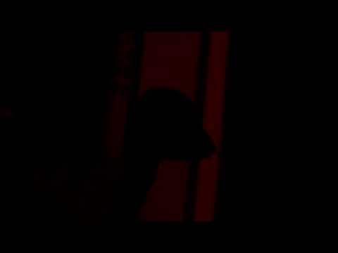 baby don't - Visualizer