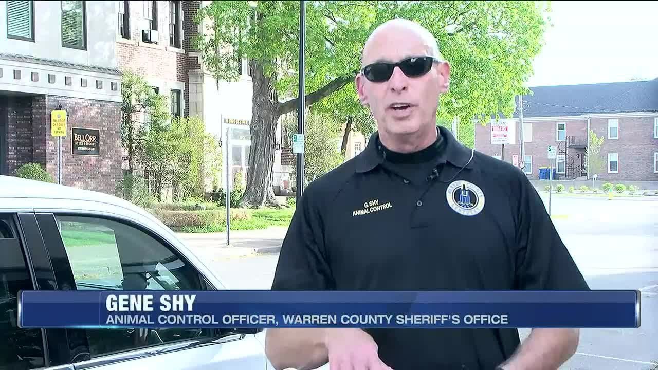 Animal Control on what you should do if you find a lost pet