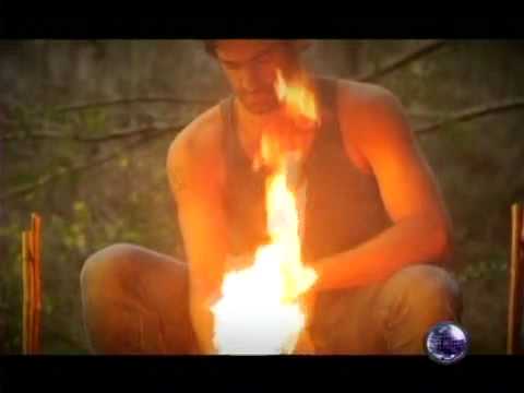 Diego Balut - Macho Bus