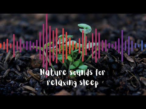 Soundtastic Rainforest & Waterfall Athmosphere for Baby Sleep and Relaxation