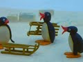 Pingu S01E11 Pingus Tobogganing