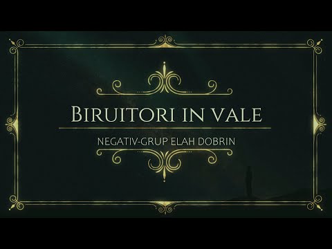 BIRUITORI IN VALE-ALEXANDRA CÂMPEAN &GRUP ELAH DOBRIN/NEGATIV