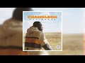 Daliwonga – Chameleon (full album) | 2020 Amapiano