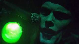 SPLATTERHEADS : fish biscuit