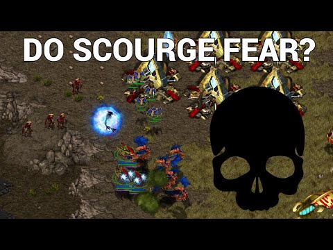 StarCraft 1: Are Scourge Brave? - beast vs Motive G2 | CNSL 6