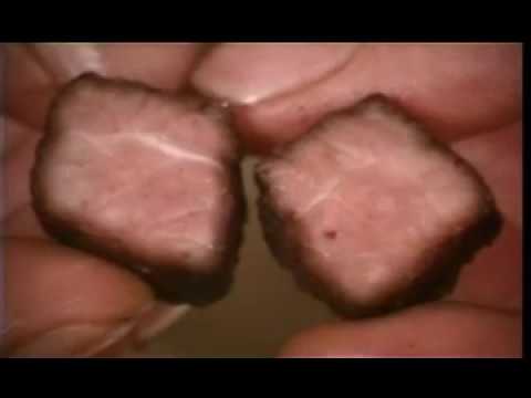 Wildschweinpastete Handwerklicher Lehrfilm ca. 1960