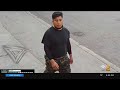 Caught On Camera Man Tackles Sexually Assaults Woman In Brooklyn