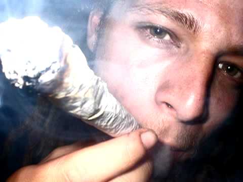 JR REID "I JUST LOVE CHRONIC" MUSIC VIDEO