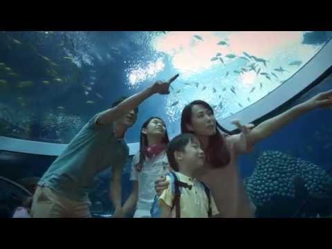 康泰旅行社x 長隆國際海洋度假區【分享歡樂 分享愛】