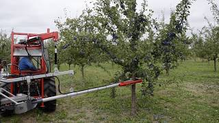 Jagoda - FA RÁZÓGÉP - SZILVA - MEGGY -ALMA - BEMUTATÓ VIDEÓ - ROYAL TRAKTOR