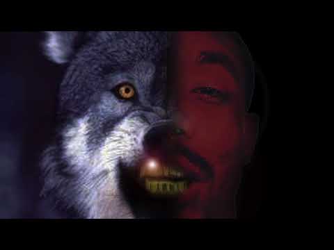 LIVE FROM THE GUTTER  SMOKEYROB