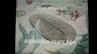 Timeline of the universe