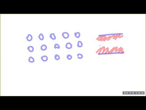 2018 10 26 PM Public Teaching in Bengali - বাংলায় পাবলিক শিক্ষা