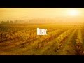 Russ Chimes - Turn Me Out (Ejeca Remix)