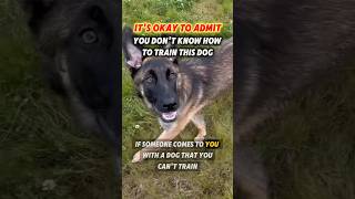 It’s Okay to Admit You Don’t Know How to Train This Dog 👈  #dogtrainer #dogs