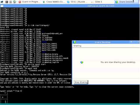 Creating Backups with Percona XtraBackup Backup Database Tutorial