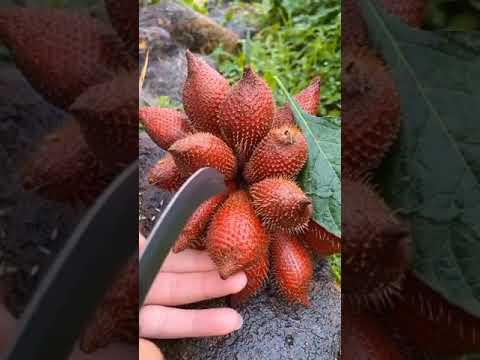 guess the fruit name please comment box #shorts#fruits #viral