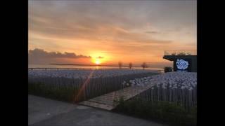 10000 Roses Cafe in Cordova, Cebu