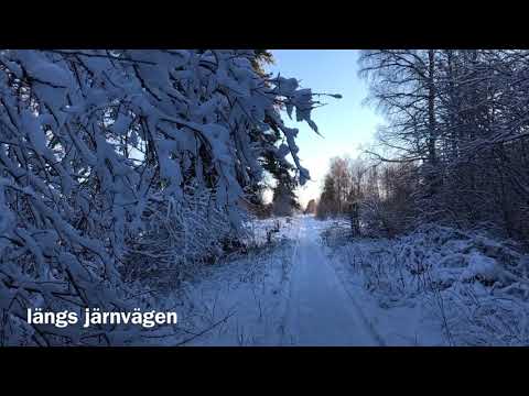 Aktiv vinter på Doma 2021