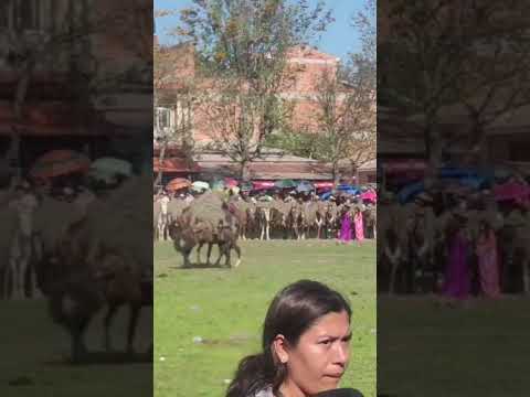 Mataqueda, Entre Rios.