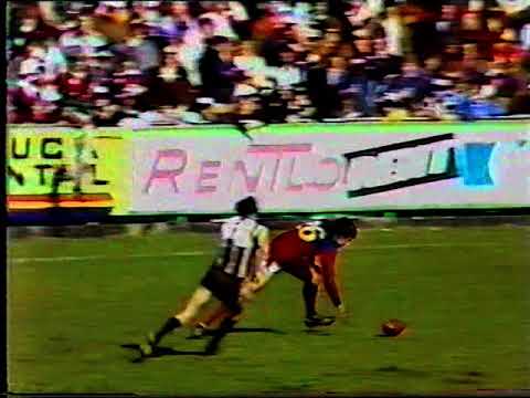 1981 Coll v Fitz VFL RD22 at Vic Park