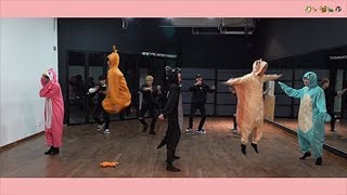 핫샷(HOTSHOT) - '니가 미워' Dance Practice (🐉🦘🐿🐢🐧 Ver.)