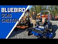 SCAG Cheetah Bluebird Edition: Features, Specs & Story Behind the Blue Scag!